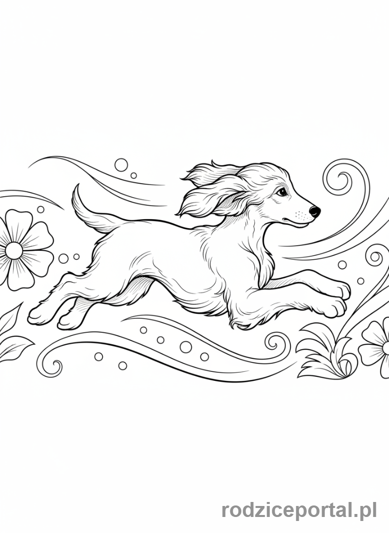 Kolorowanka Pieski - Chart afgański z powiewającą wiatrem sierścią.