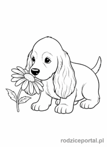 Kolorowanka Pieski - Cocker Spaniel z długimi, zwisającymi uszami, wąchający kwiat.