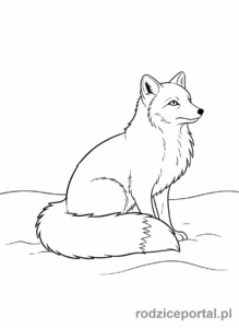 Kolorowanka Zimowe - Lis polarny w śniegu.