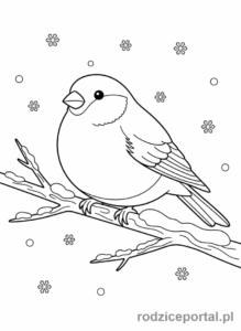 Kolorowanka Zimowe - Zimowy ptak (gil) na gałęzi.