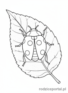 Kolorowanka Biedronka - Biedronka na liściu