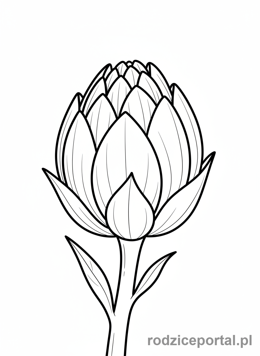 Kolorowanka Cykl Życia Roślin - Pąk kwiatowy.