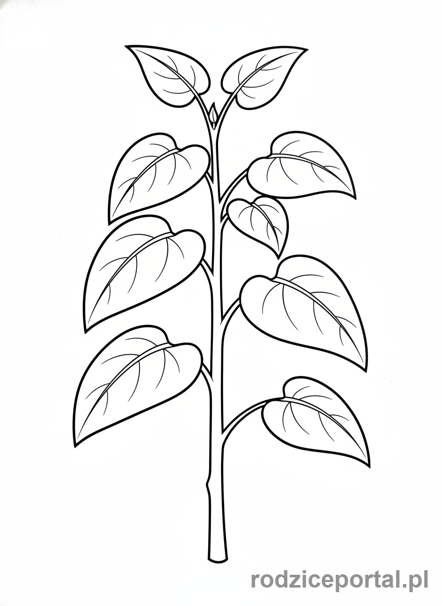 Kolorowanka Cykl Życia Roślin - Rosnąca roślina.