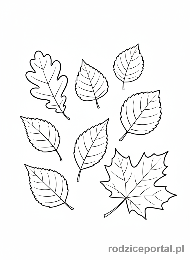 Kolorowanka Drzewa Zadania - Zbiór różnych liści drzew.