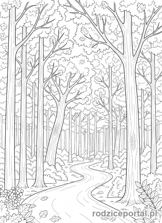 Kolorowanka Jesień - Lesna sciezka
