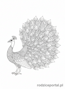 Kolorowanka Kolorowanki Dla Dorosłych - Paw z bogato zdobionymi piórami