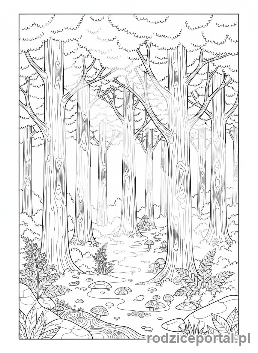 Kolorowanka Las - Promienie słońca przez drzewa