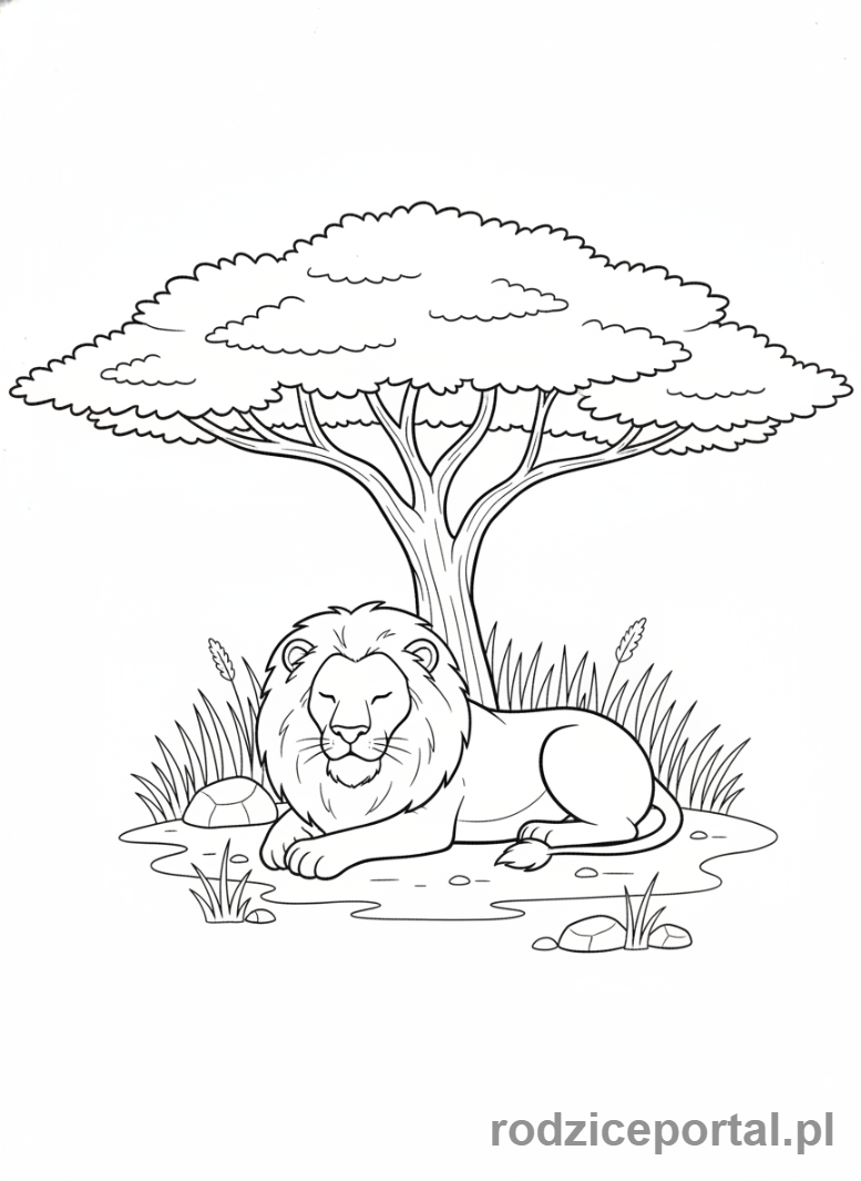 Kolorowanka Lew - Lew drzewo akacji