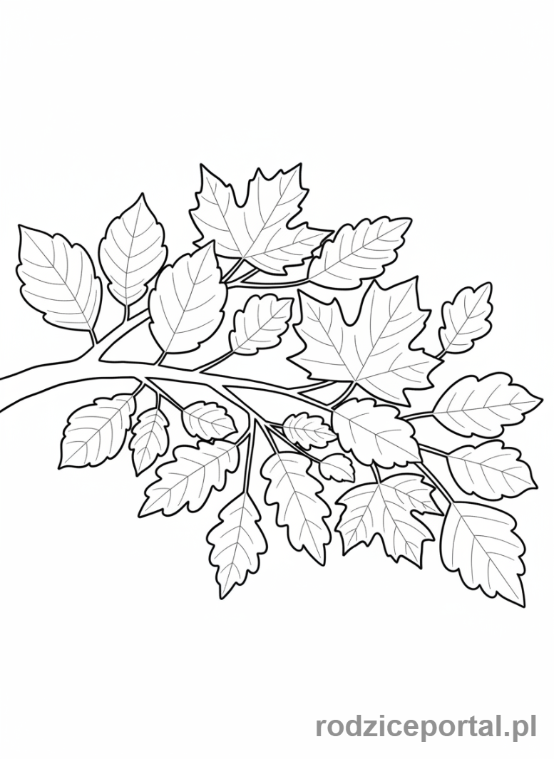 Kolorowanka Liście - Gałąź z liśćmi