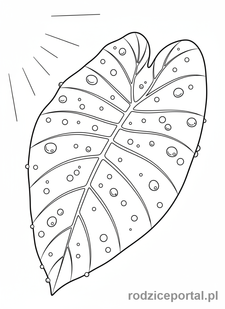 Kolorowanka Liście - Liść z kroplami rosy