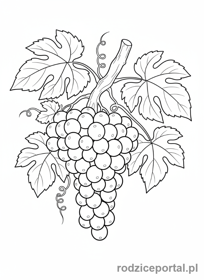 Kolorowanka Owoce Zdrowe - Kiść winogron na gałązce