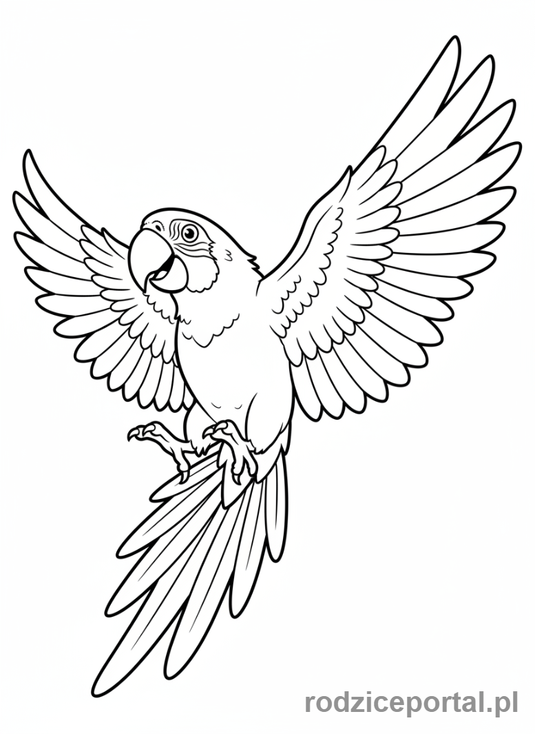 Kolorowanka Papuga - Papuga gotowa do lotu