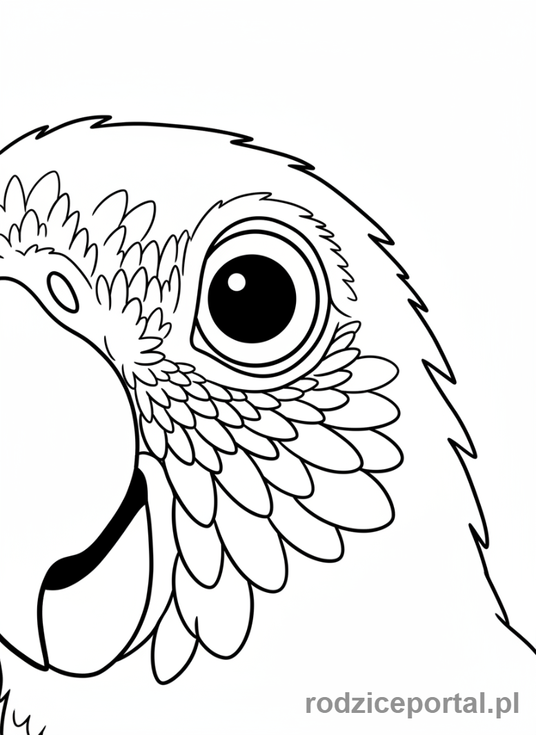 Kolorowanka Papuga - Papuga oko zbliżenie