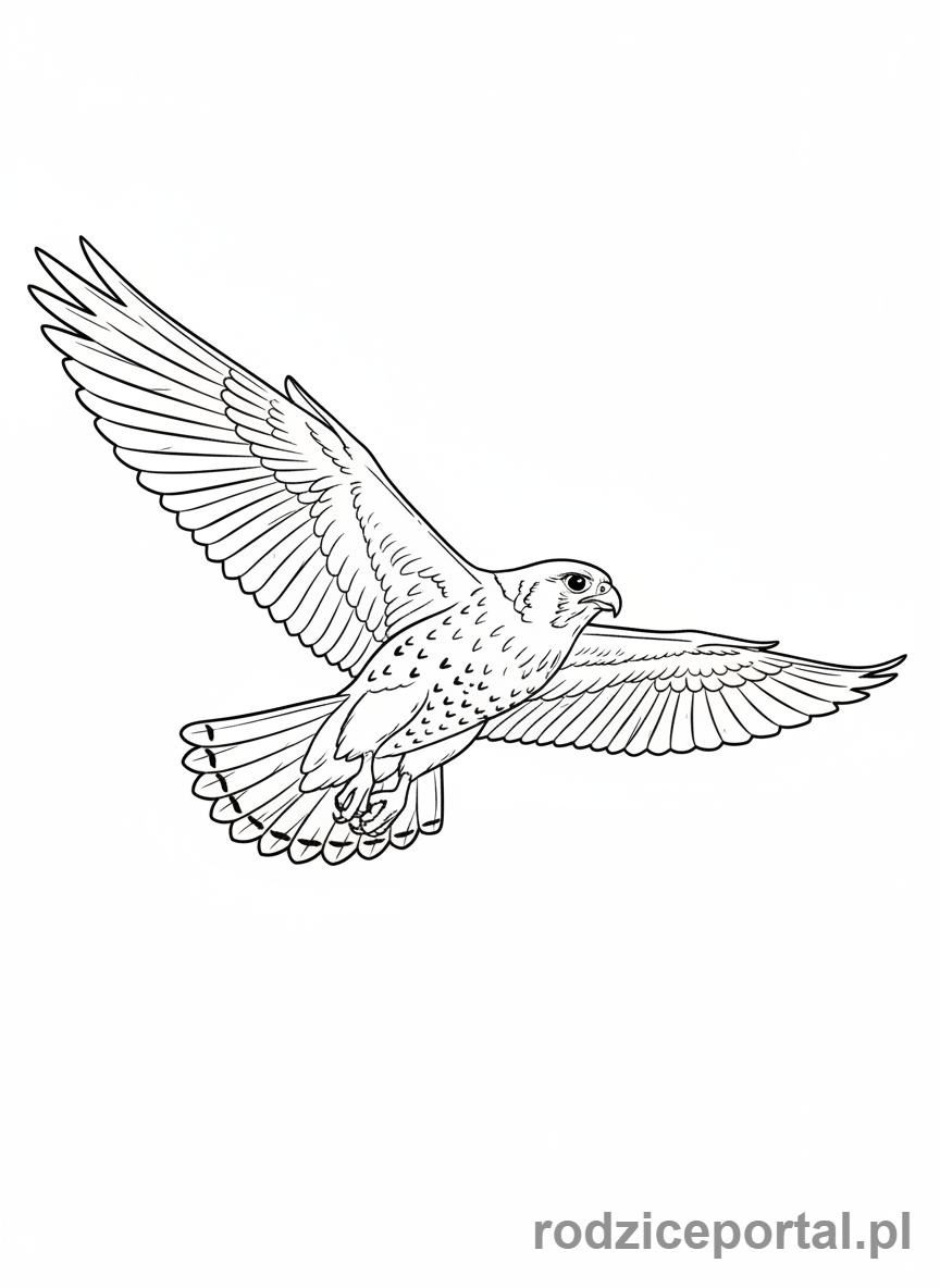 Kolorowanka Ptaki Zadania - Sokół w locie