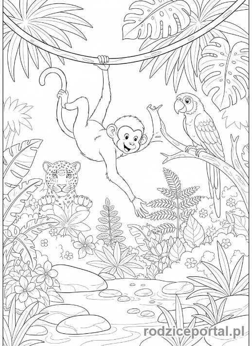 Kolorowanka Środowisko - Zwierzęta Deszczowe