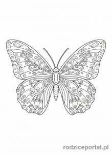 Kolorowanka Symetria - Symetryczny motyl
