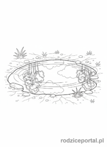 Kolorowanka Woda - Odbicie w kałuży