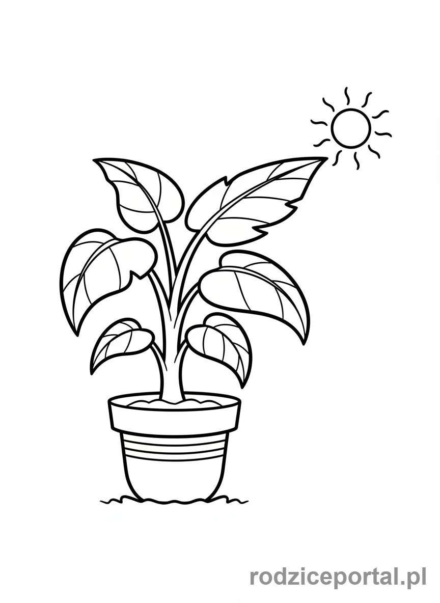 Kolorowanka Wzrost Roślin - Roślina rośnie w kierunku słońca