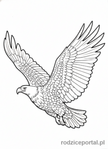 Kolorowanka Zwierzęta Chronione - Orzeł Bielik w locie