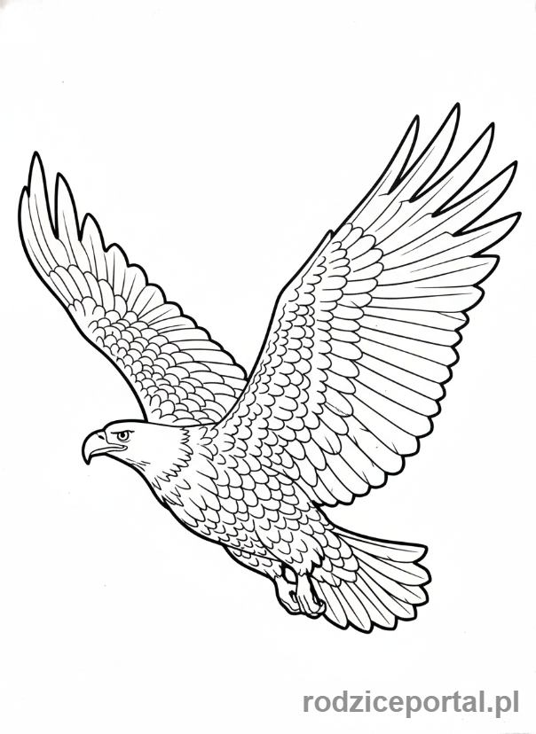 Kolorowanka Zwierzęta Chronione - Orzeł Bielik w locie