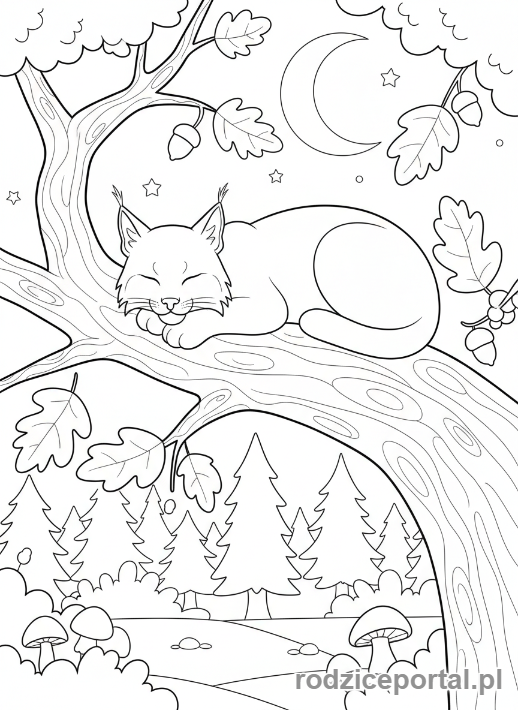 Kolorowanka Zwierzęta Chronione - Ryś na gałęzi